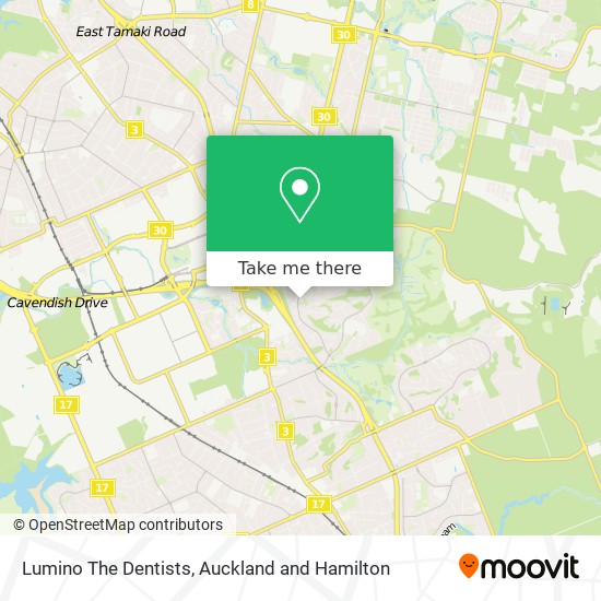 Lumino The Dentists map