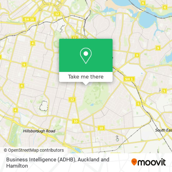 Business Intelligence (ADHB) map