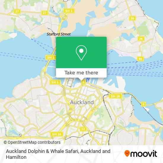 Auckland Dolphin & Whale Safari map