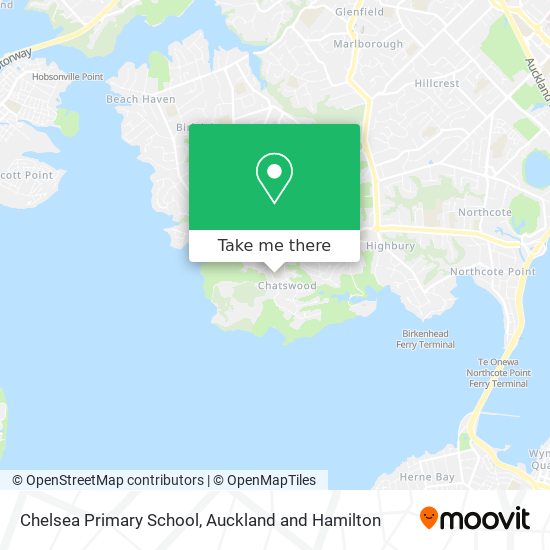 Chelsea Primary School地图