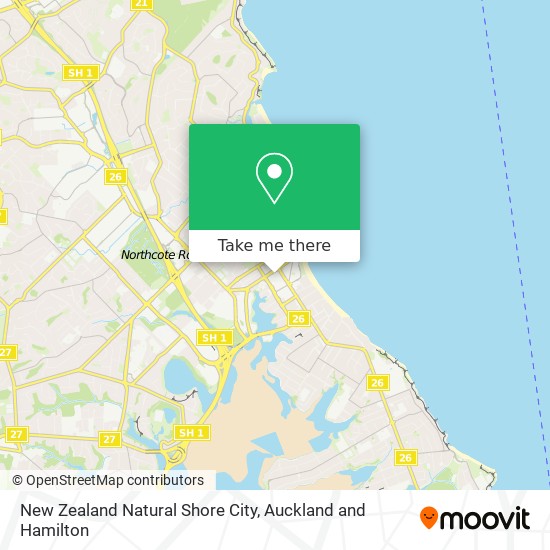 New Zealand Natural Shore City map