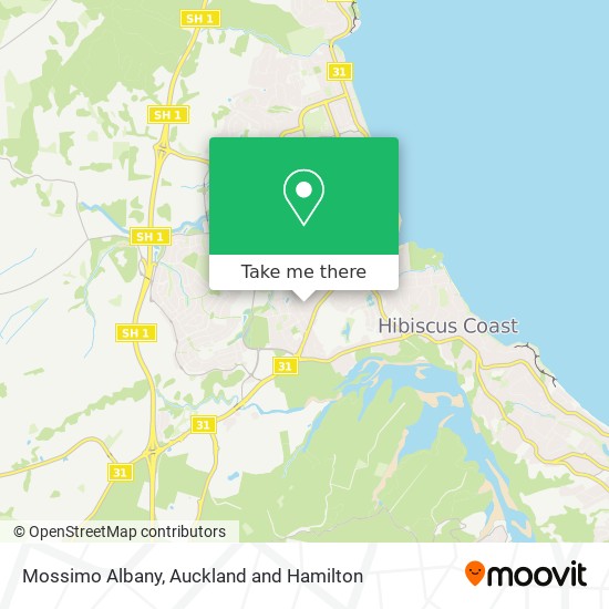 Mossimo Albany地图