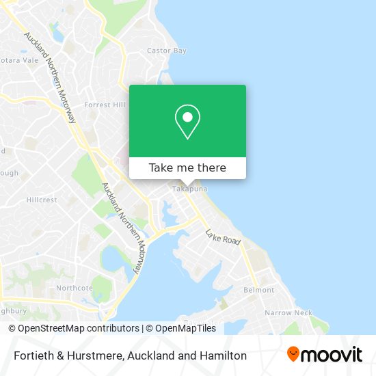 Fortieth & Hurstmere map