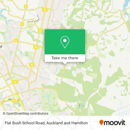 Flat Bush School Road map