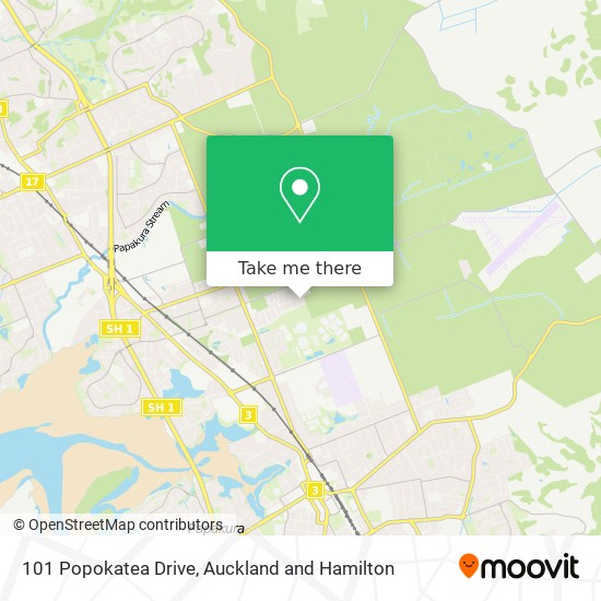 101 Popokatea Drive map