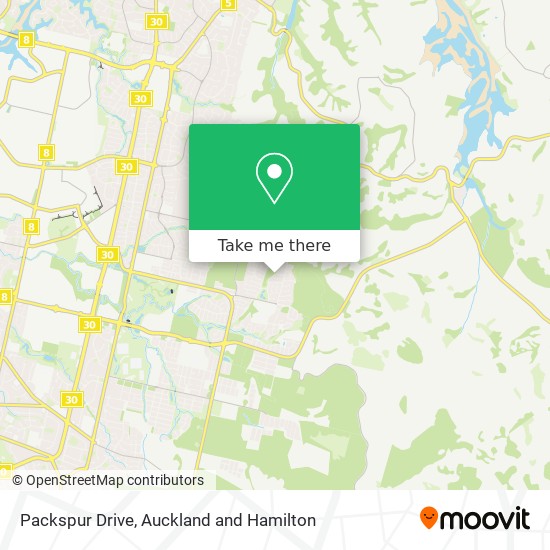Packspur Drive map