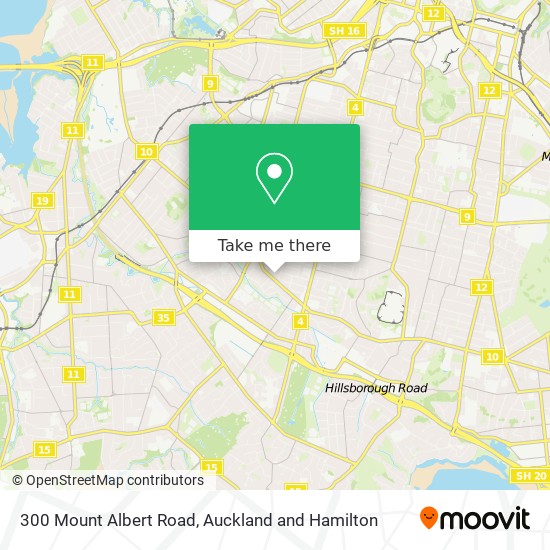 300 Mount Albert Road地图