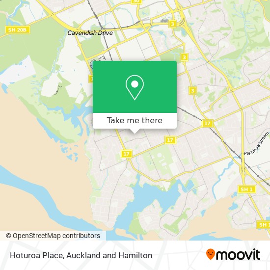 Hoturoa Place map