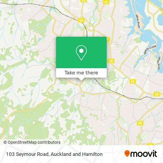 103 Seymour Road map