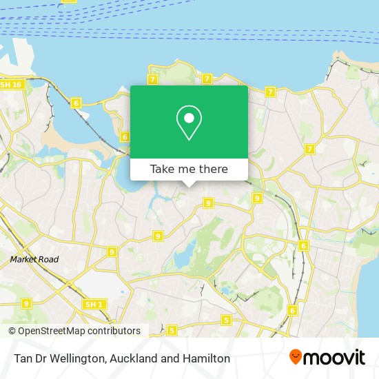 Tan Dr Wellington地图
