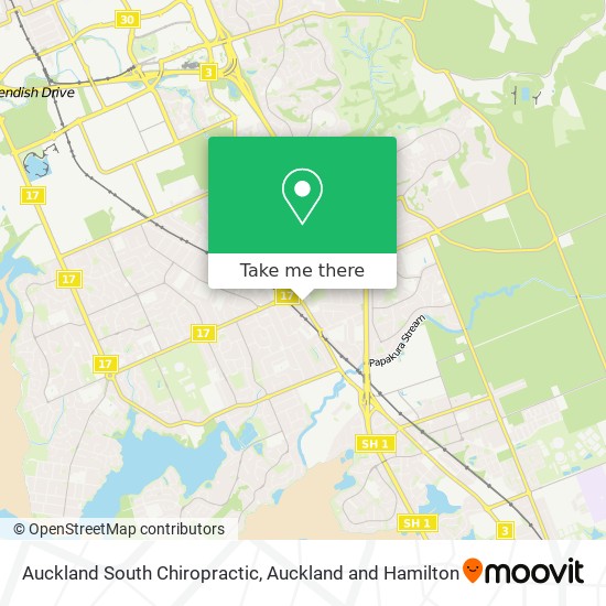Auckland South Chiropractic map