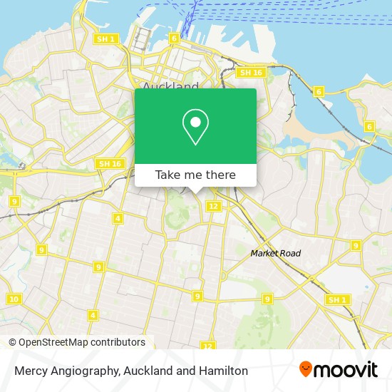 Mercy Angiography map