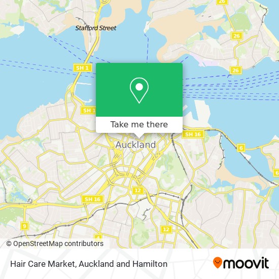 Hair Care Market map