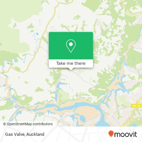 Gas Valve map