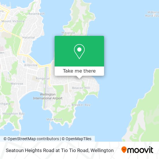 Seatoun Heights Road at Tio Tio Road地图