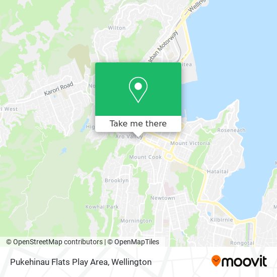 Pukehinau Flats Play Area map