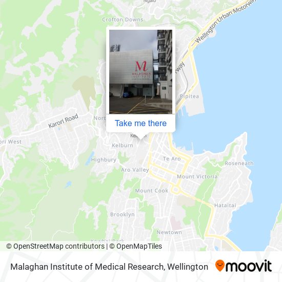Malaghan Institute of Medical Research map