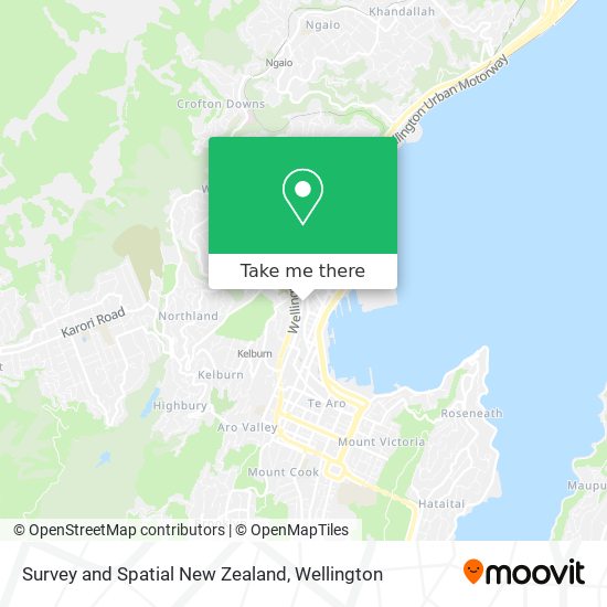 Survey and Spatial New Zealand map