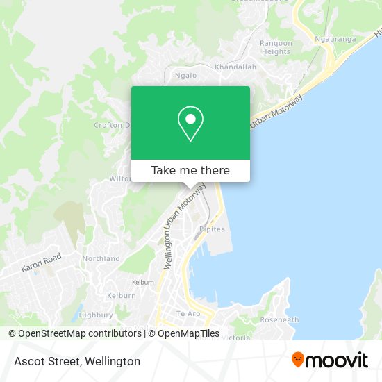 Ascot Street map