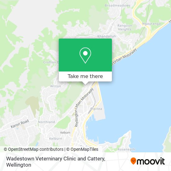 Wadestown Veterninary Clinic and Cattery map