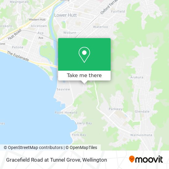 Gracefield Road at Tunnel Grove map