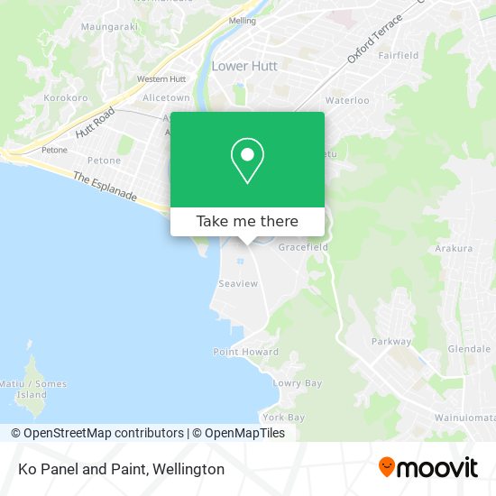 Ko Panel and Paint map