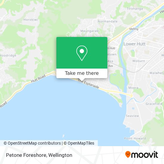 Petone Foreshore map