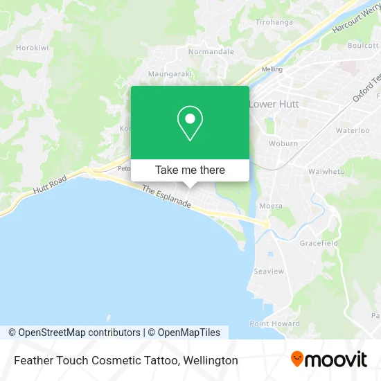 Feather Touch Cosmetic Tattoo map