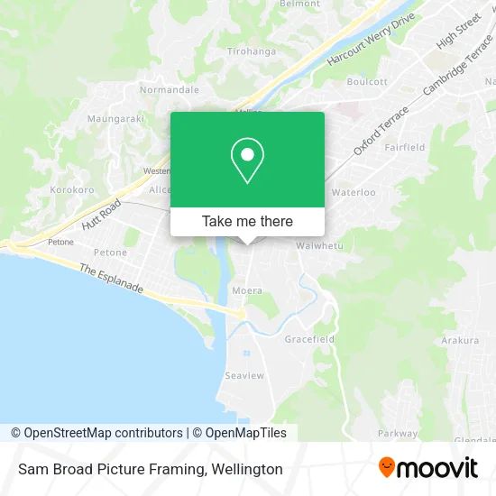 Sam Broad Picture Framing map