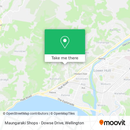 Maungaraki Shops - Dowse Drive map