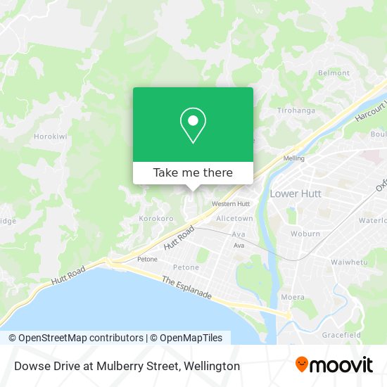 Dowse Drive at Mulberry Street map