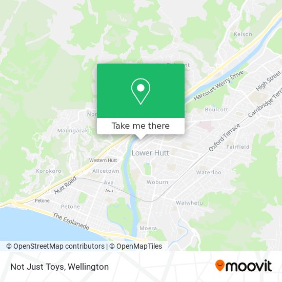 Not Just Toys map