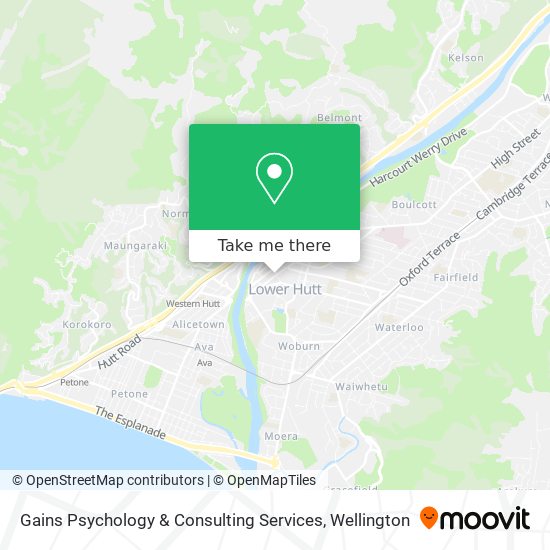 Gains Psychology & Consulting Services map