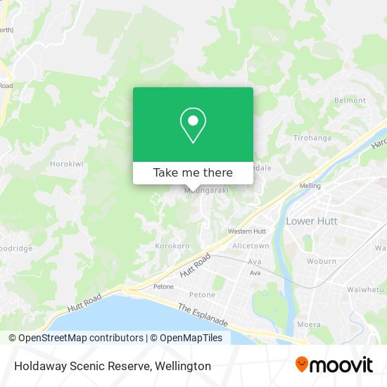 Holdaway Scenic Reserve map