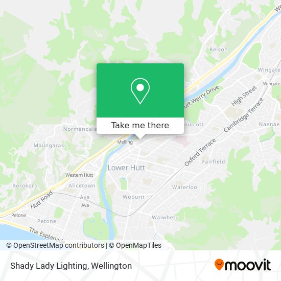 Shady Lady Lighting map