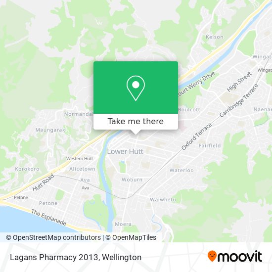 Lagans Pharmacy 2013 map