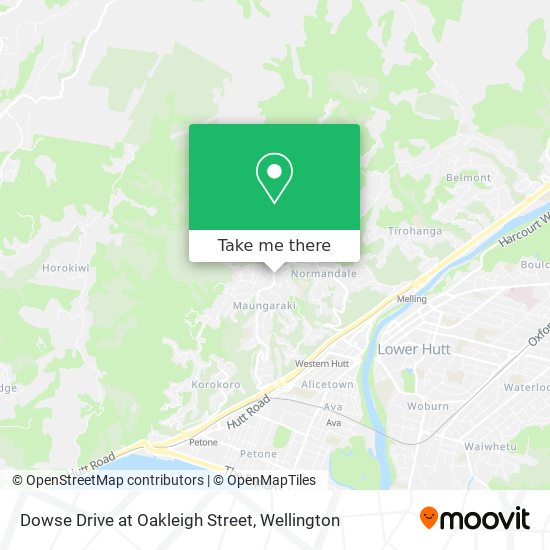 Dowse Drive at Oakleigh Street地图