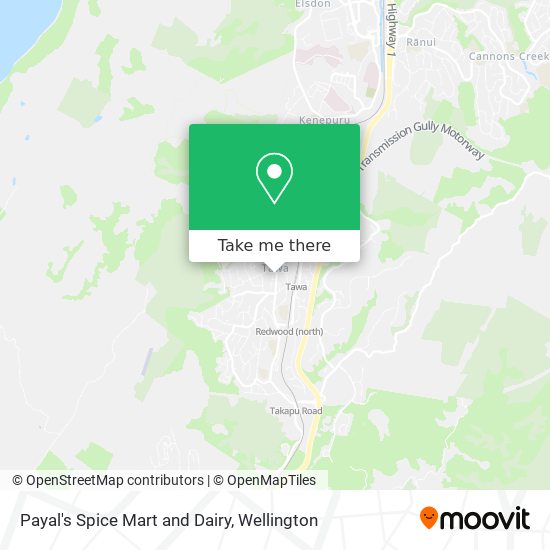 Payal's Spice Mart and Dairy map