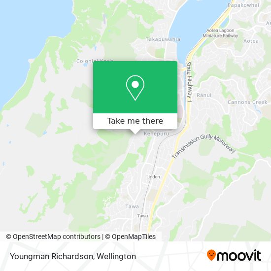 Youngman Richardson map
