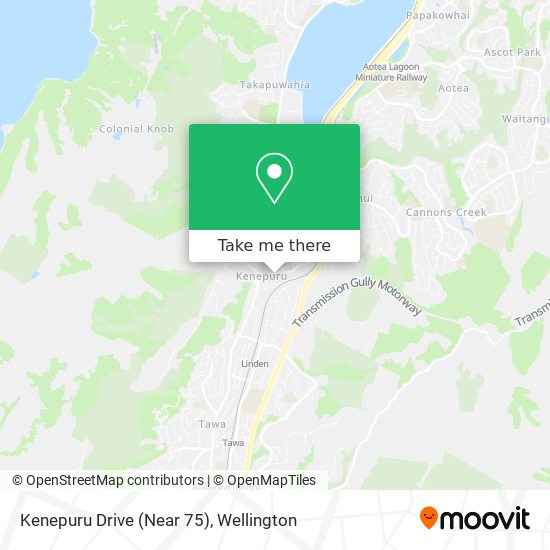 Kenepuru Drive (Near 75)地图