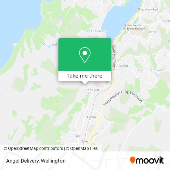 Angel Delivery map