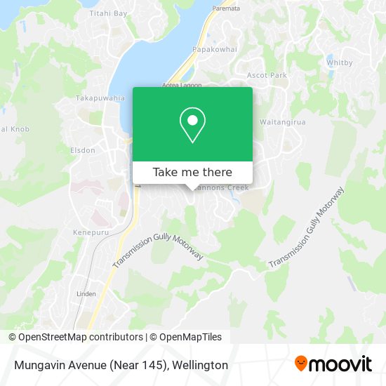 Mungavin Avenue (Near 145) map