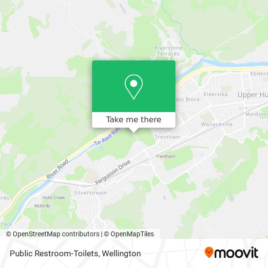 Public Restroom-Toilets map
