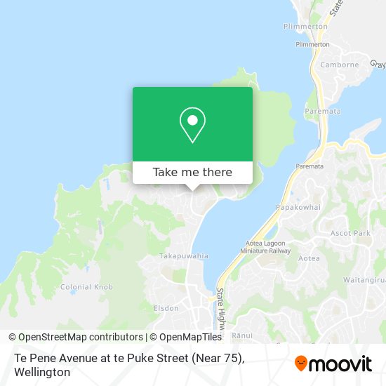 Te Pene Avenue at te Puke Street (Near 75) map