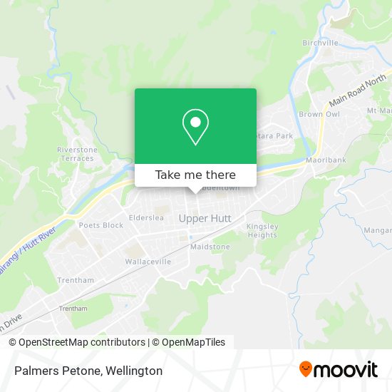 Palmers Petone map