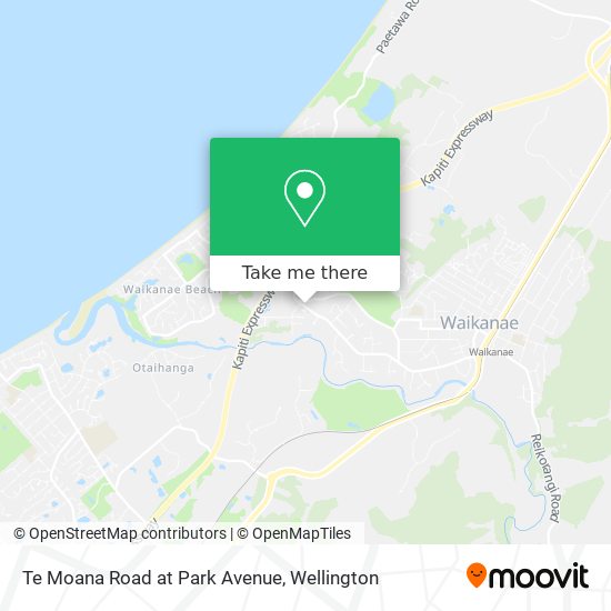 Te Moana Road at Park Avenue map
