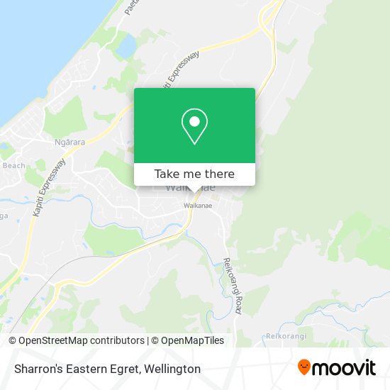 Sharron's Eastern Egret map
