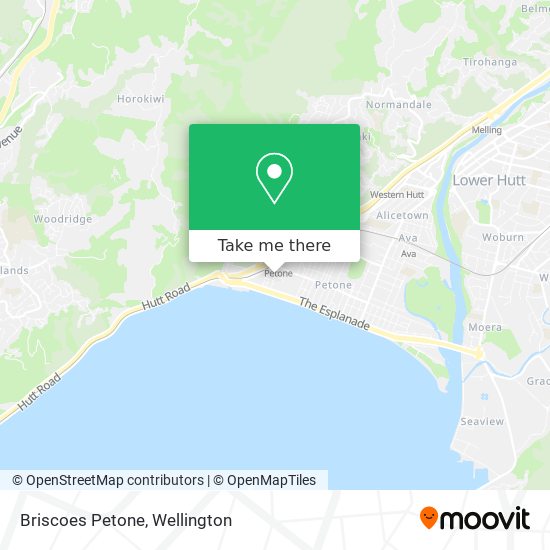 Briscoes Petone map