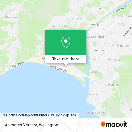 Animates Vetcare map