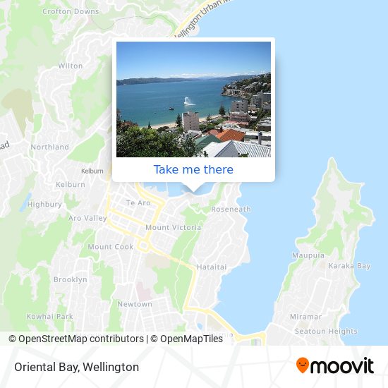 Oriental Bay map